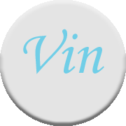 Vehicle Verifier Logo